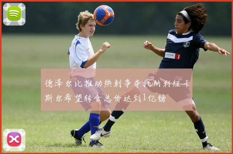 德泽尔比推动热刺争夺托纳利纽卡斯尔希望转会总价达到1亿镑